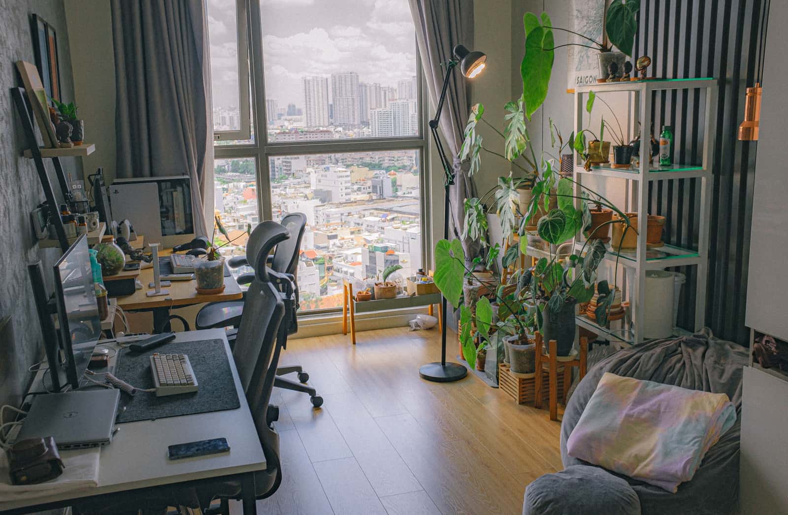 A home office in an urban apartment with houseplants and a large window