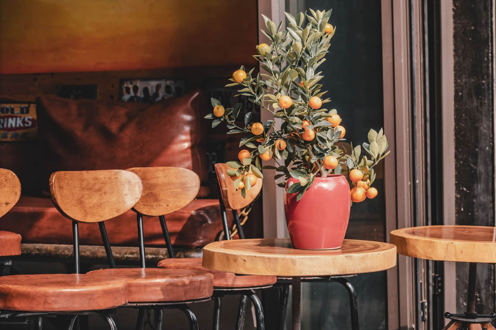 A potted citrus tree on a wooden table in a bright indoor space