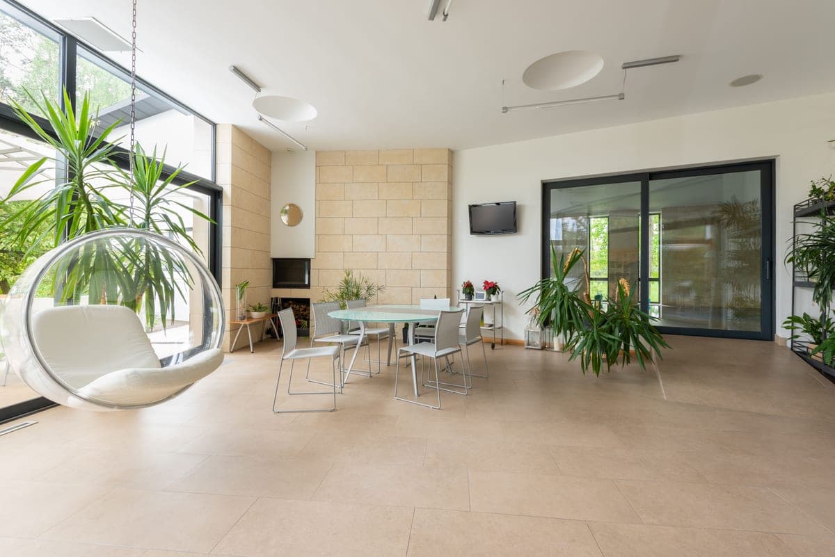A large leafy houseplant in a bright modern living room