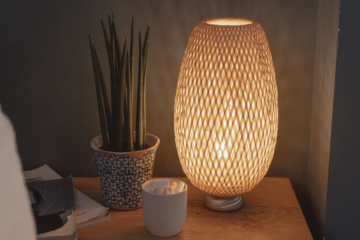 A potted plant lit by a lamp on a side table in the evening