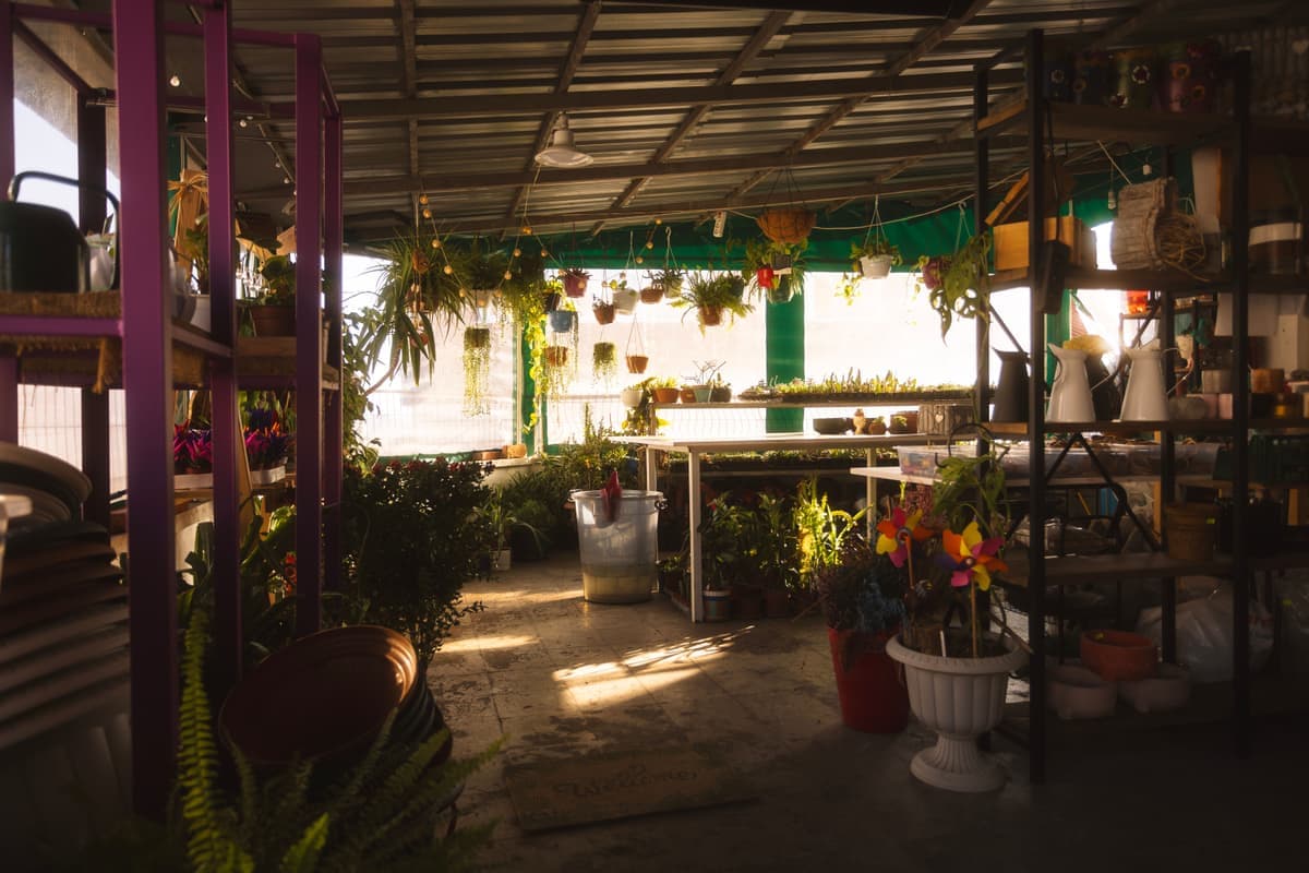 An LED grow light mounted above a measured rectangular tray of plants on a rack