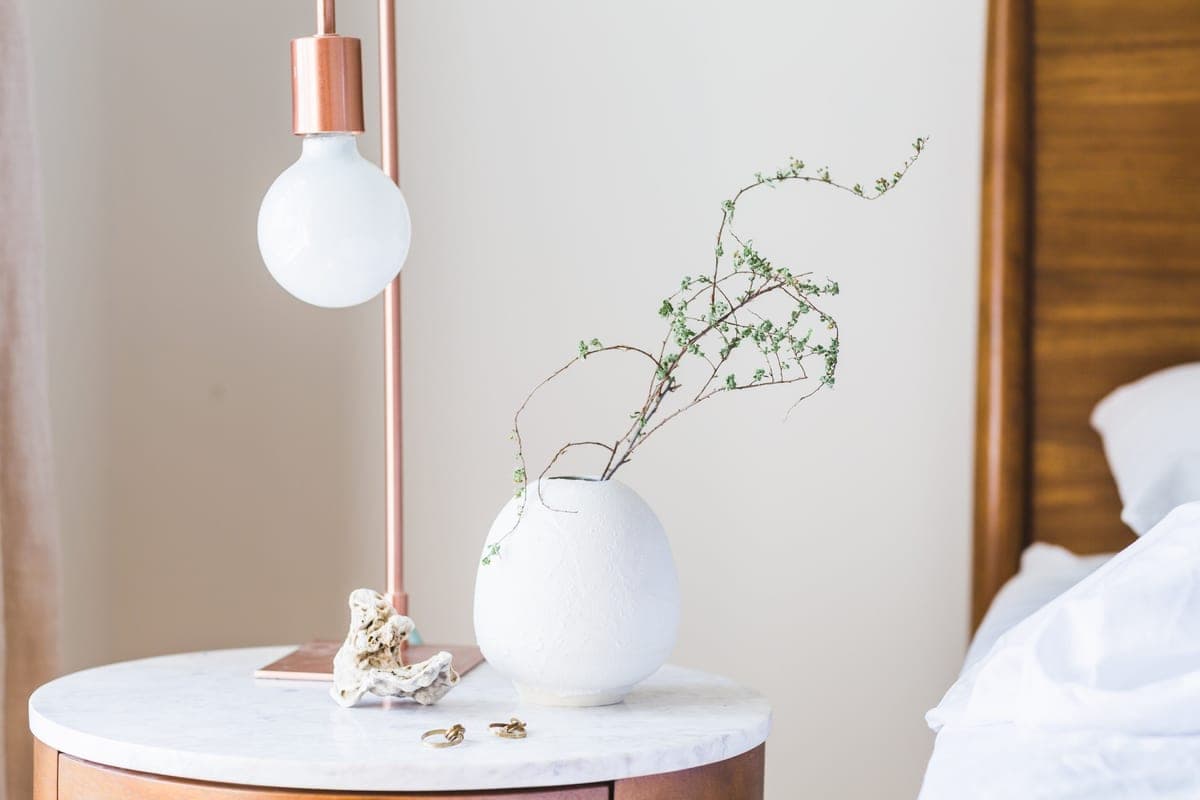 A screw-in LED grow bulb in a desk lamp aimed at a potted houseplant