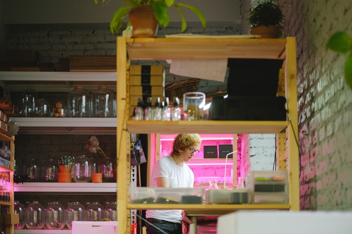 A thin aluminum LED grow board above a row of potted houseplants