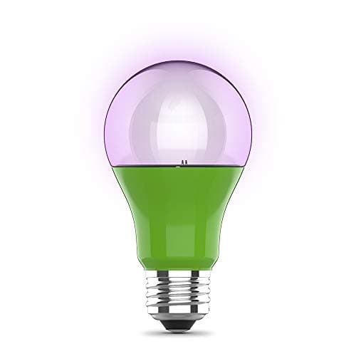 A screw-in LED grow bulb in a desk lamp aimed at a potted houseplant