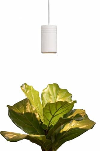 A pendant grow light hanging over a large indoor plant in a living room