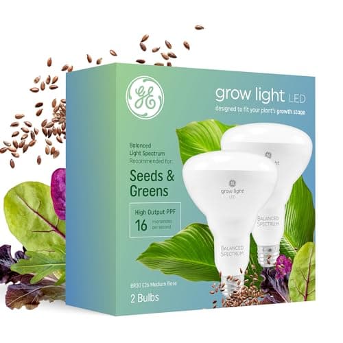 A screw-in LED grow bulb in a desk lamp aimed at a potted houseplant
