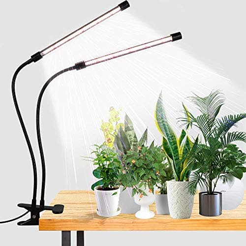 A gooseneck clip-on grow light clamped to a shelf beside a small houseplant